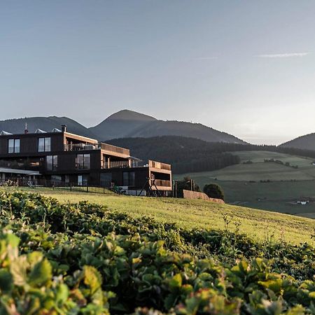 Aparthotel Panorama Living Dolomites マランツァ エクステリア 写真